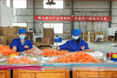 天猫双11开门红 产业带爆发式增长，7个产地首小时销售额破亿，日用百货引领消费热潮